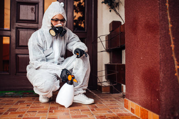 Reliable Cockroach Control contractor in White Marsh, MD by Nex Pest Control